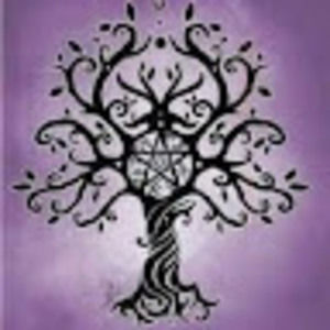 Meet your Posher, Deanne